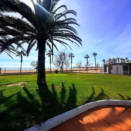 Appartement En Primera Linea De Playa Con Piscina Y Terraza En - Es-204-5